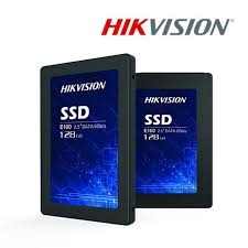 HS-SSD-E100-256G